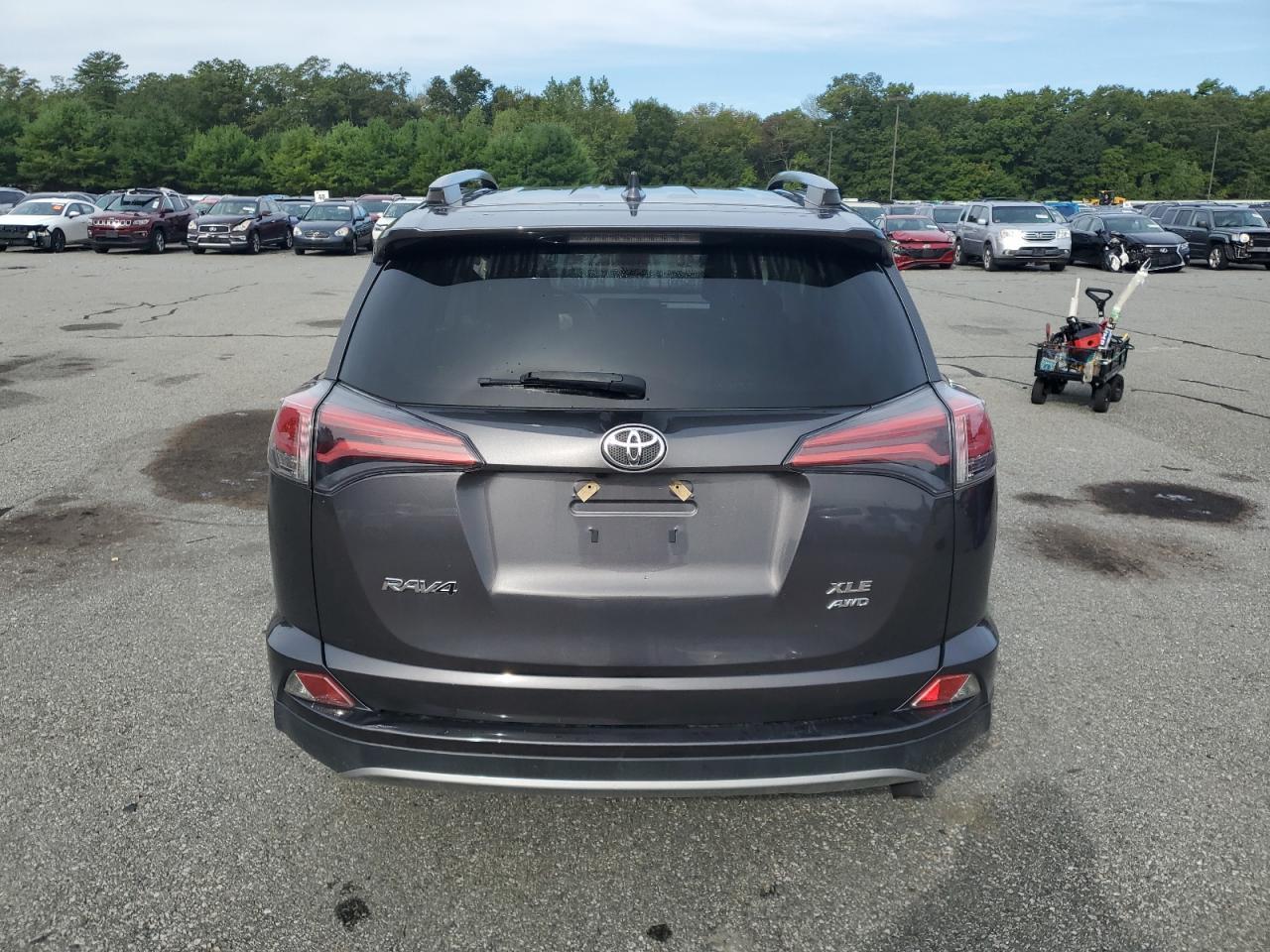 2017 Toyota Rav4 Xle - Фото 6
