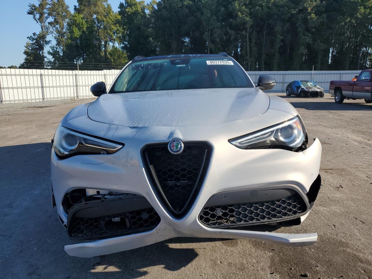 2020 Alfa Romeo Stelvio - Фото 5