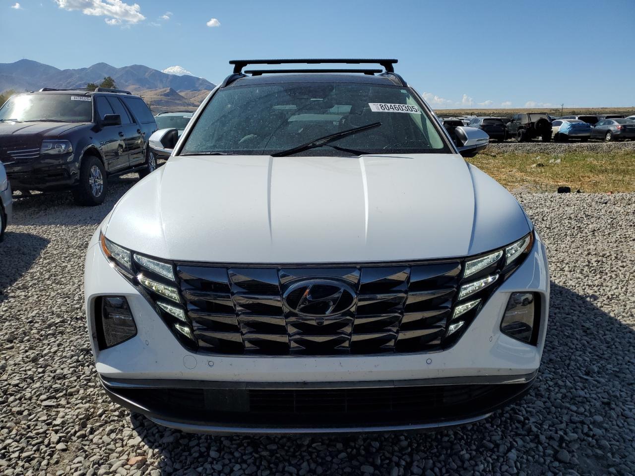 2024 Hyundai Tucson Limited - Image 5