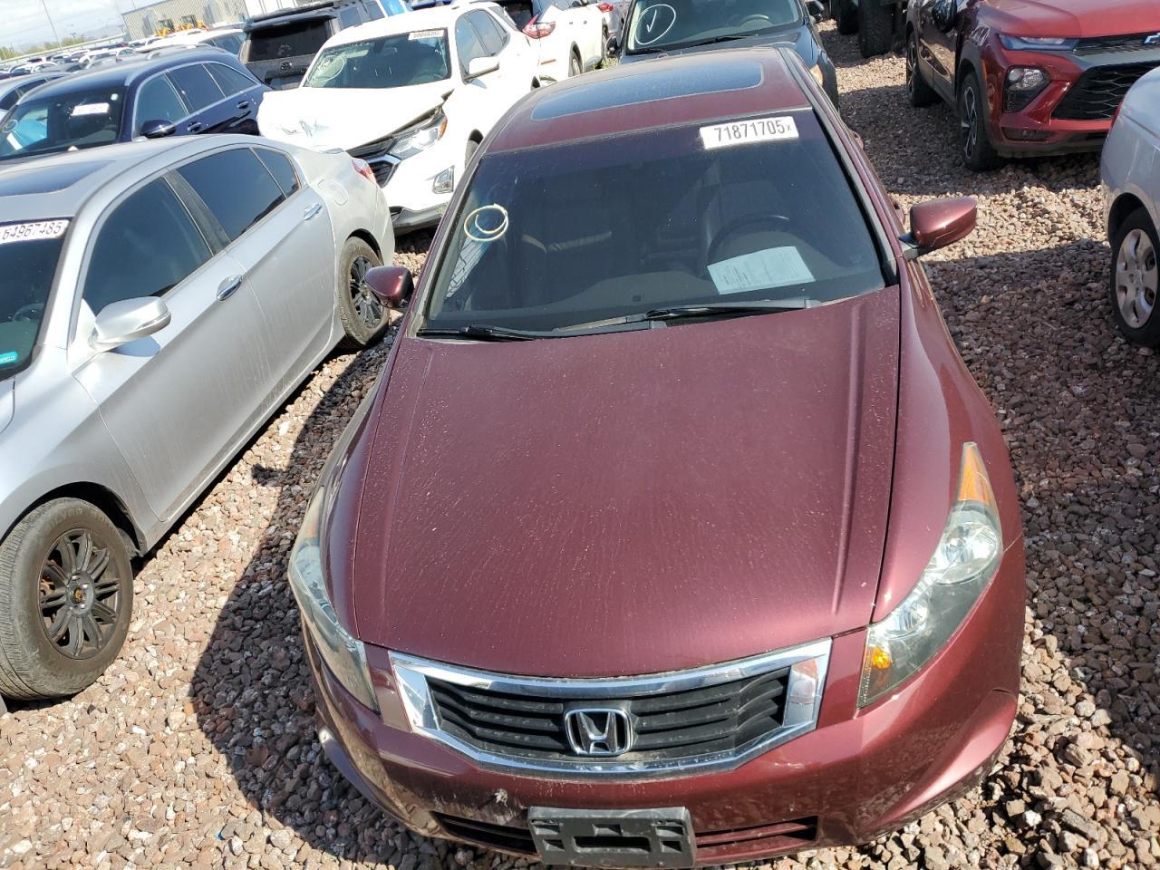 2009 Honda Accord Exl - Фото 5