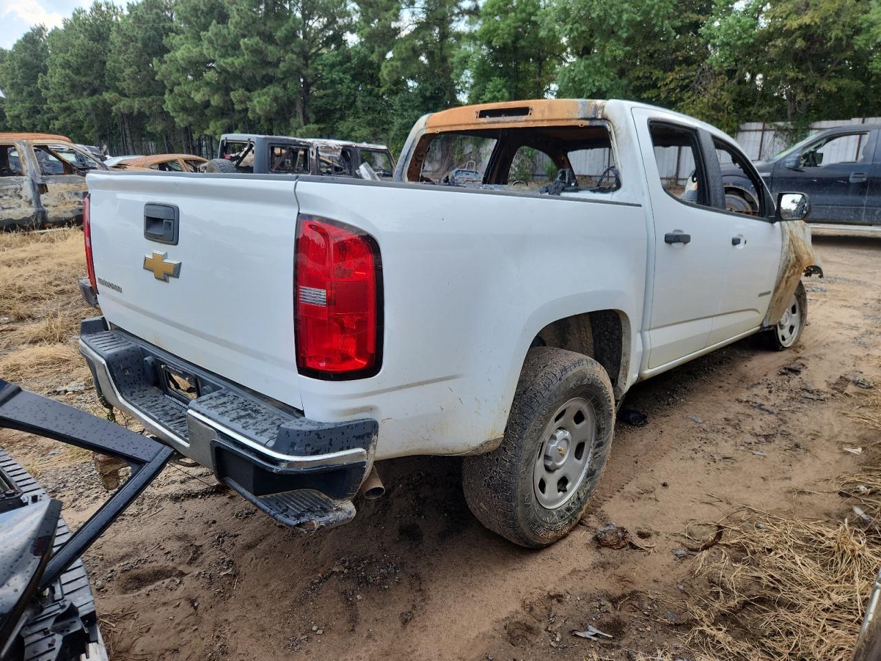 2019 Chevrolet Colorado - Фото 3