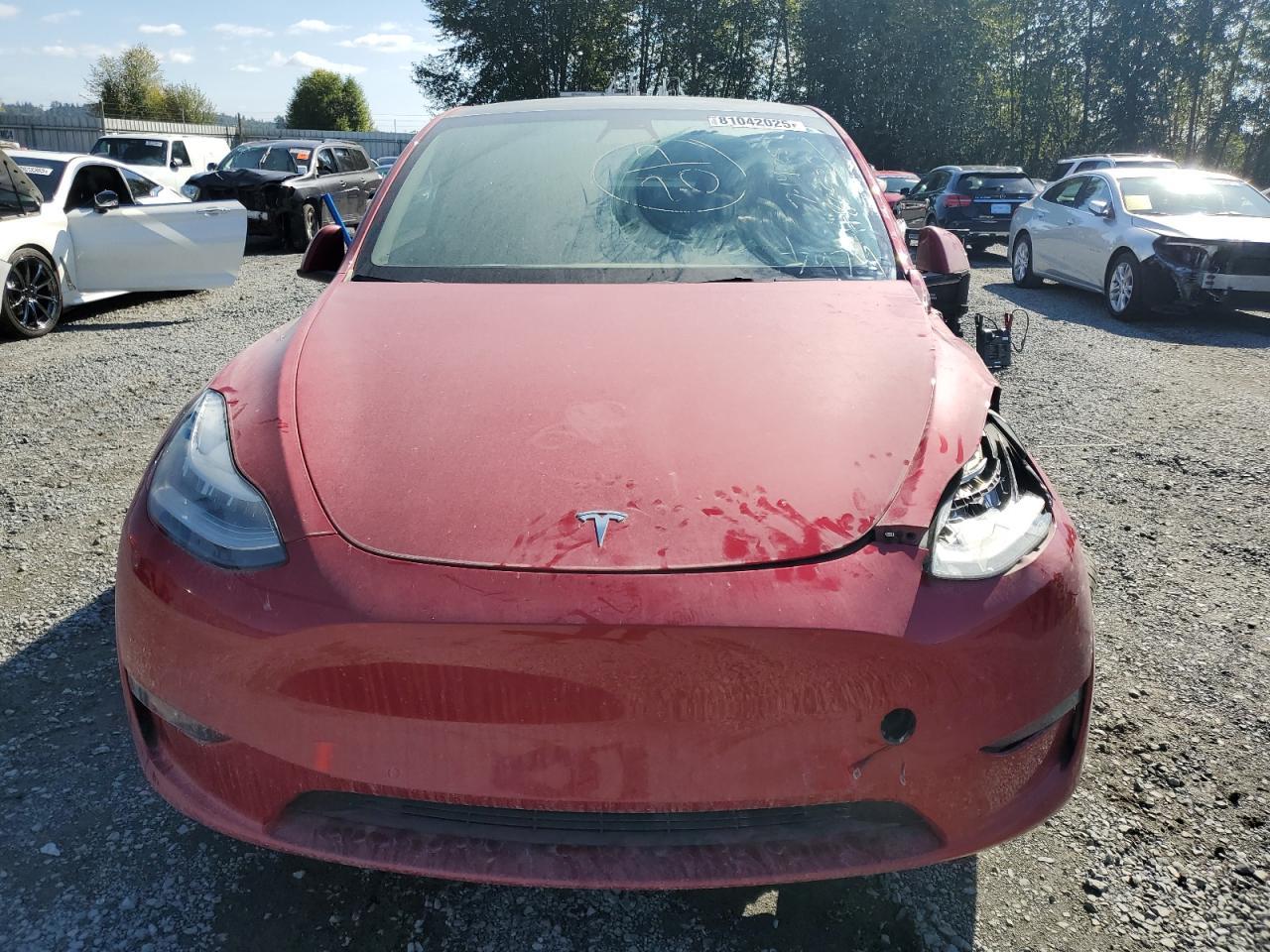 2022 Tesla Model Y - Image 5