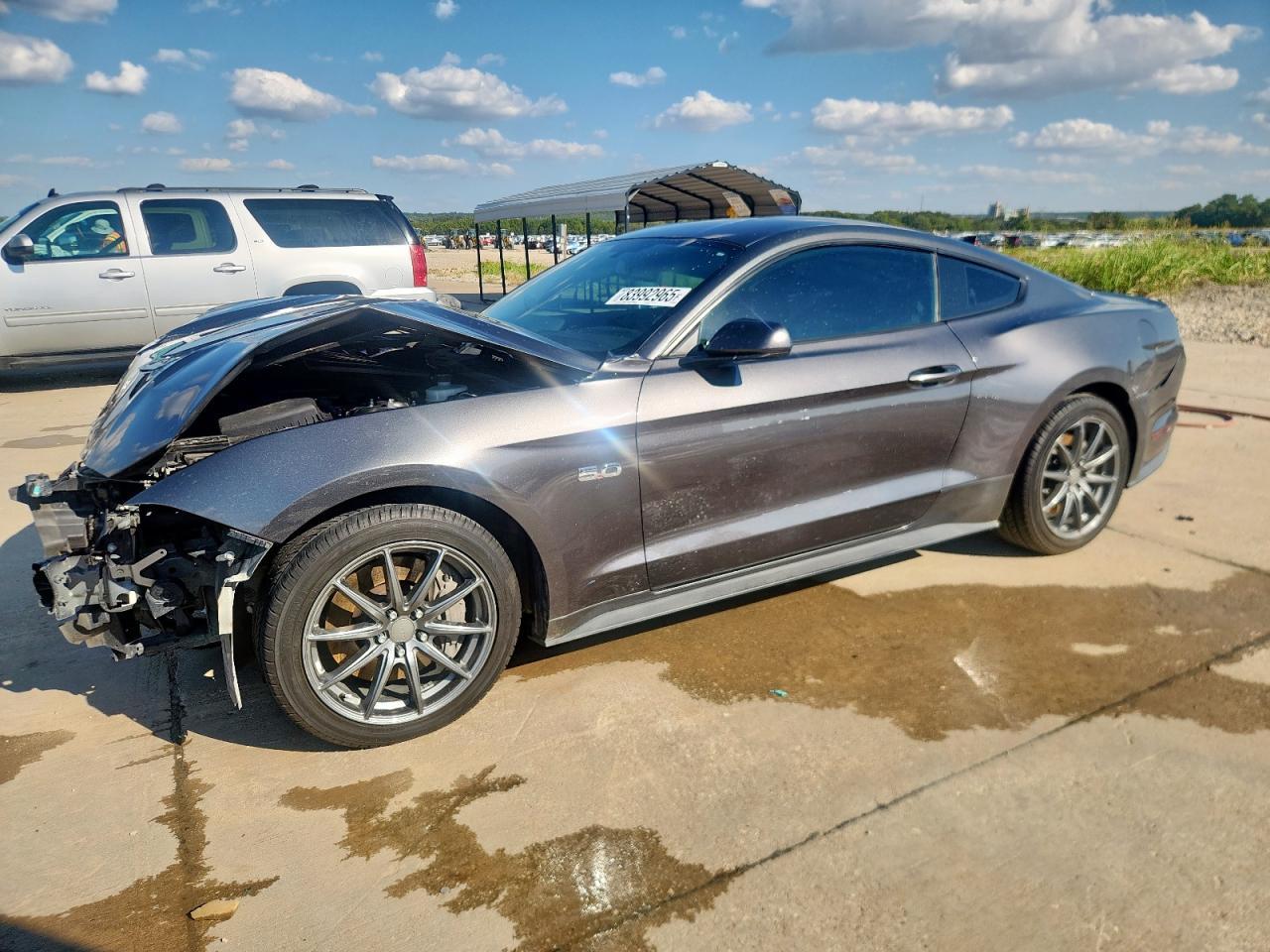2019 Ford Mustang Gt