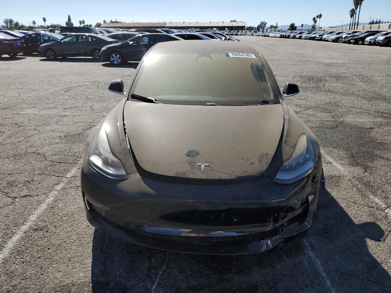 2019 Tesla Model 3 - Фото 5