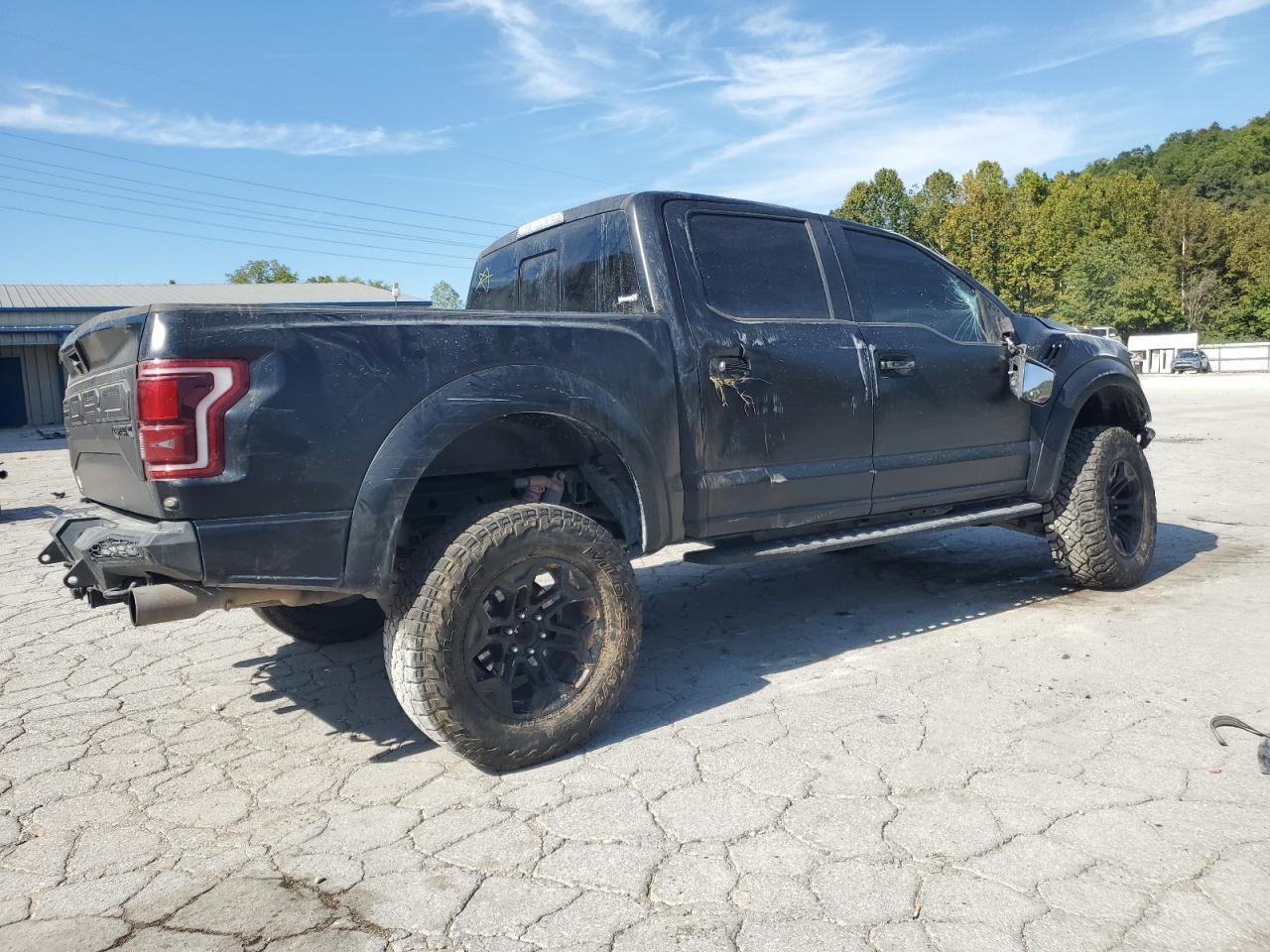 2020 Ford F150 Raptor - Фото 3