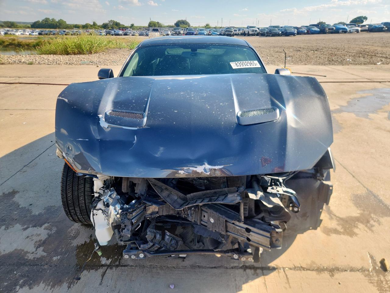 2019 Ford Mustang Gt - Image 5