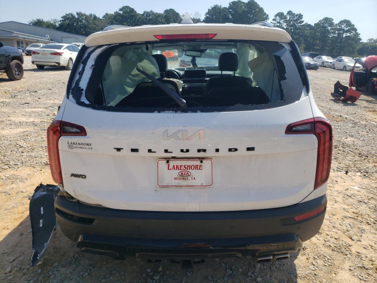 2022 Kia Telluride Sx - Image 6
