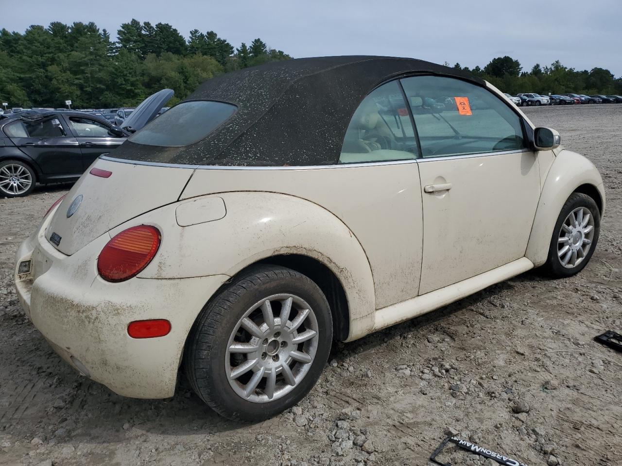 2005 Volkswagen New Beetle Gls - Image 3