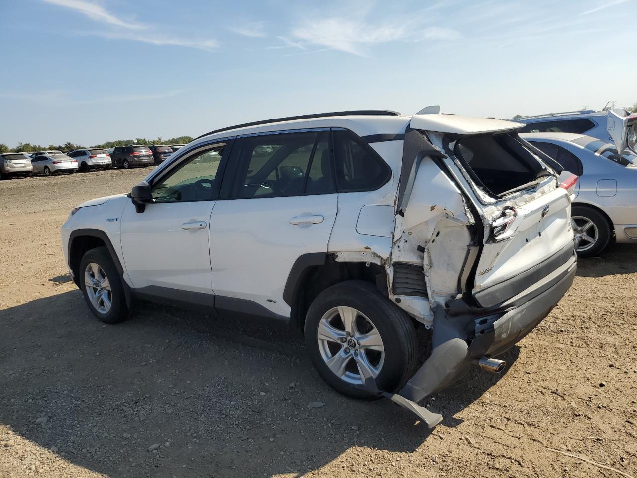 2019 Toyota Rav4 Le - Фото 2