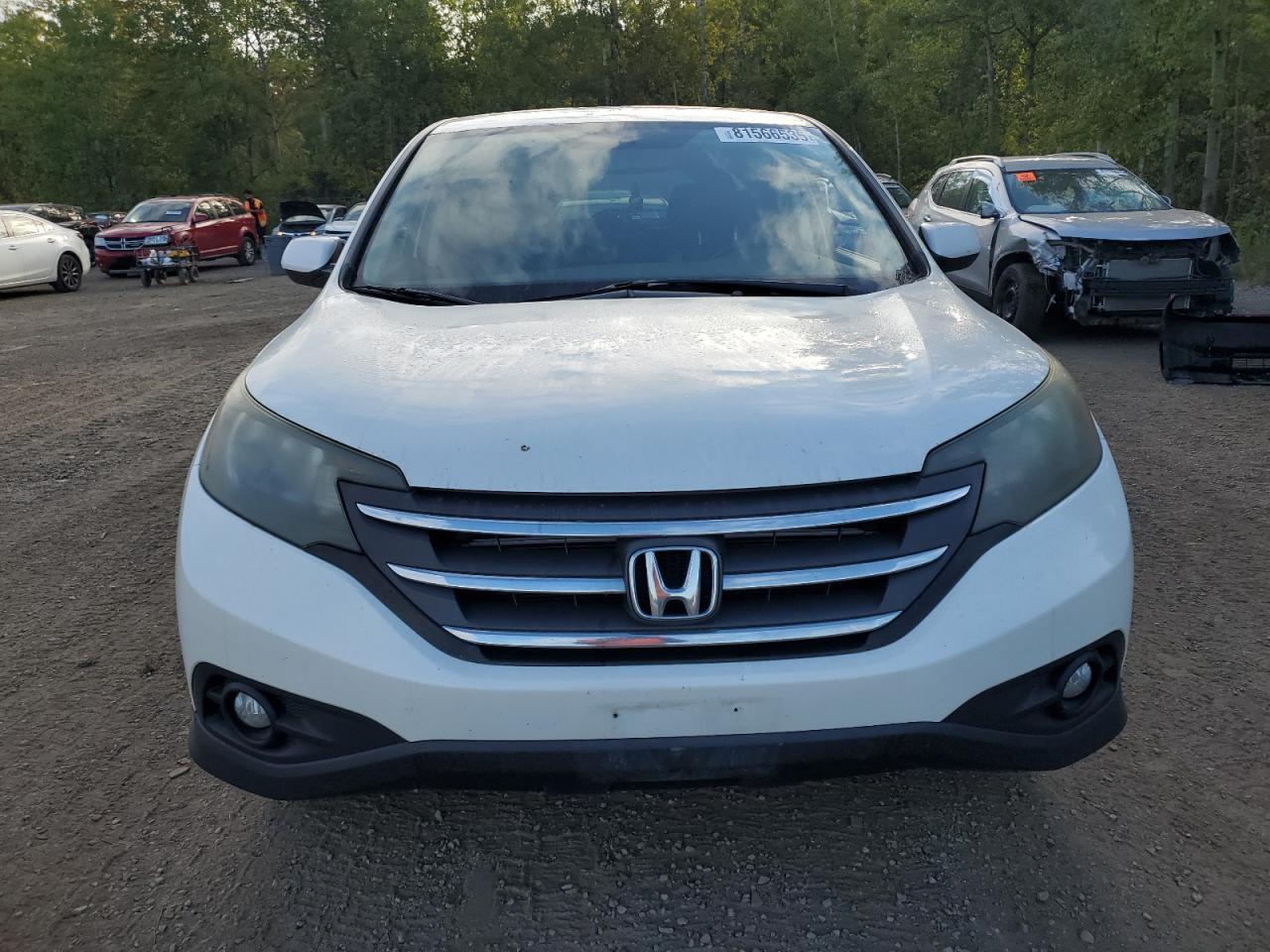2014 Honda Cr-V Exl - Image 5