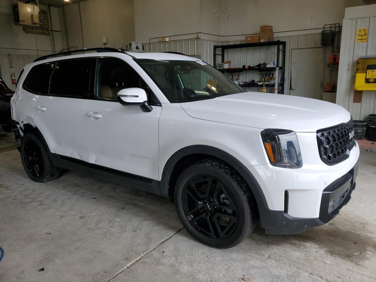 2024 Kia Telluride Sx - Фото 4