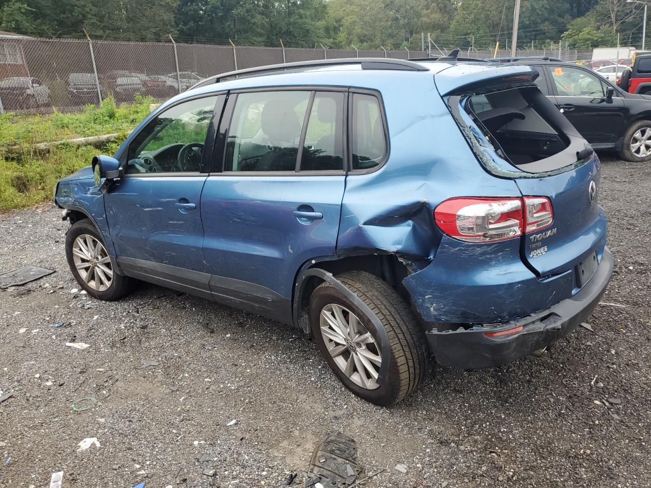 2018 Volkswagen Tiguan Limited - Фото 2