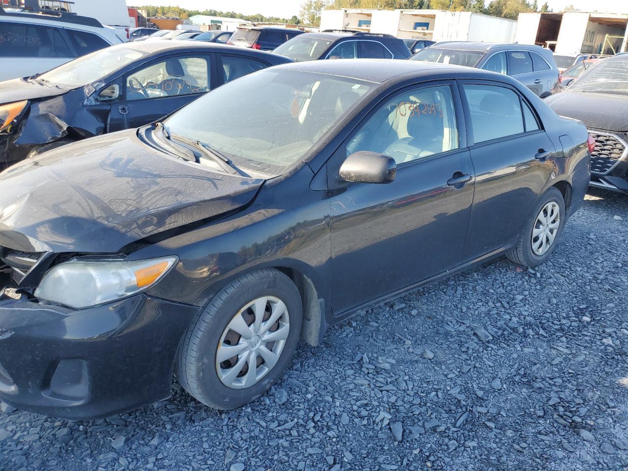 2011 Toyota Corolla