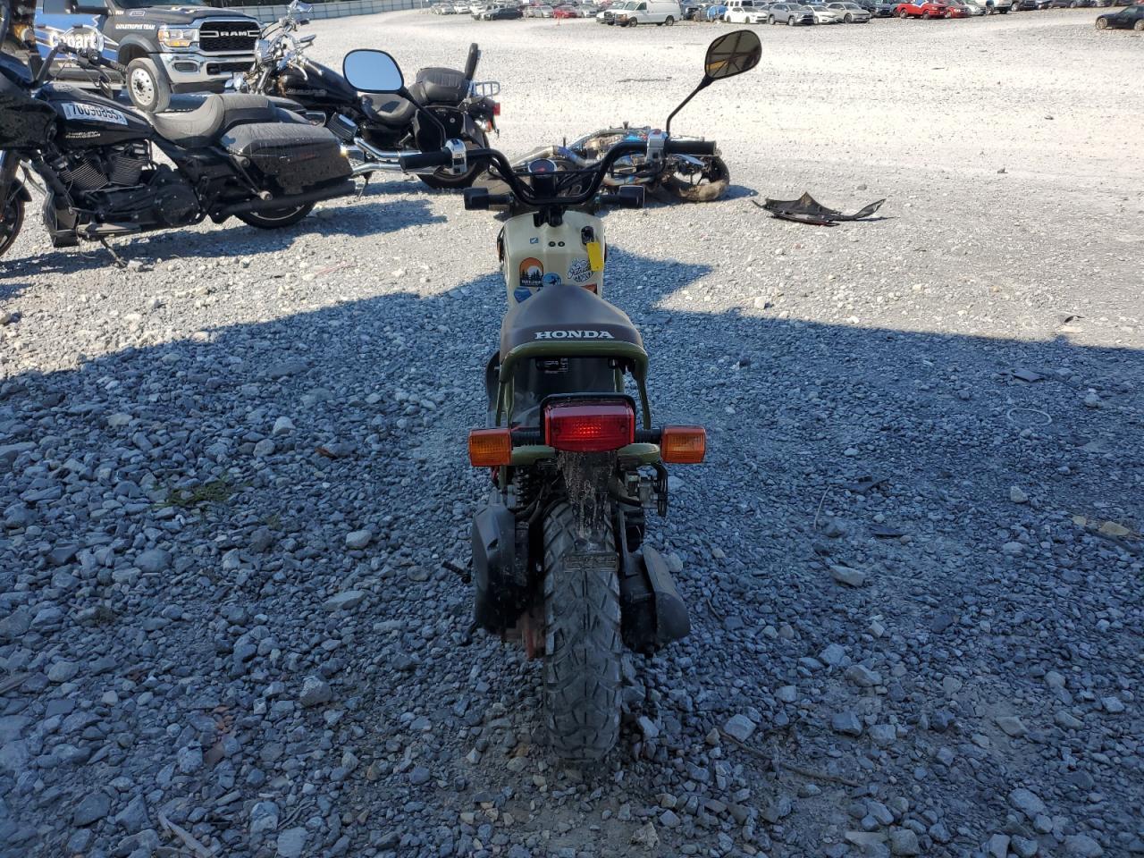2024 Honda Nps50 - Image 4