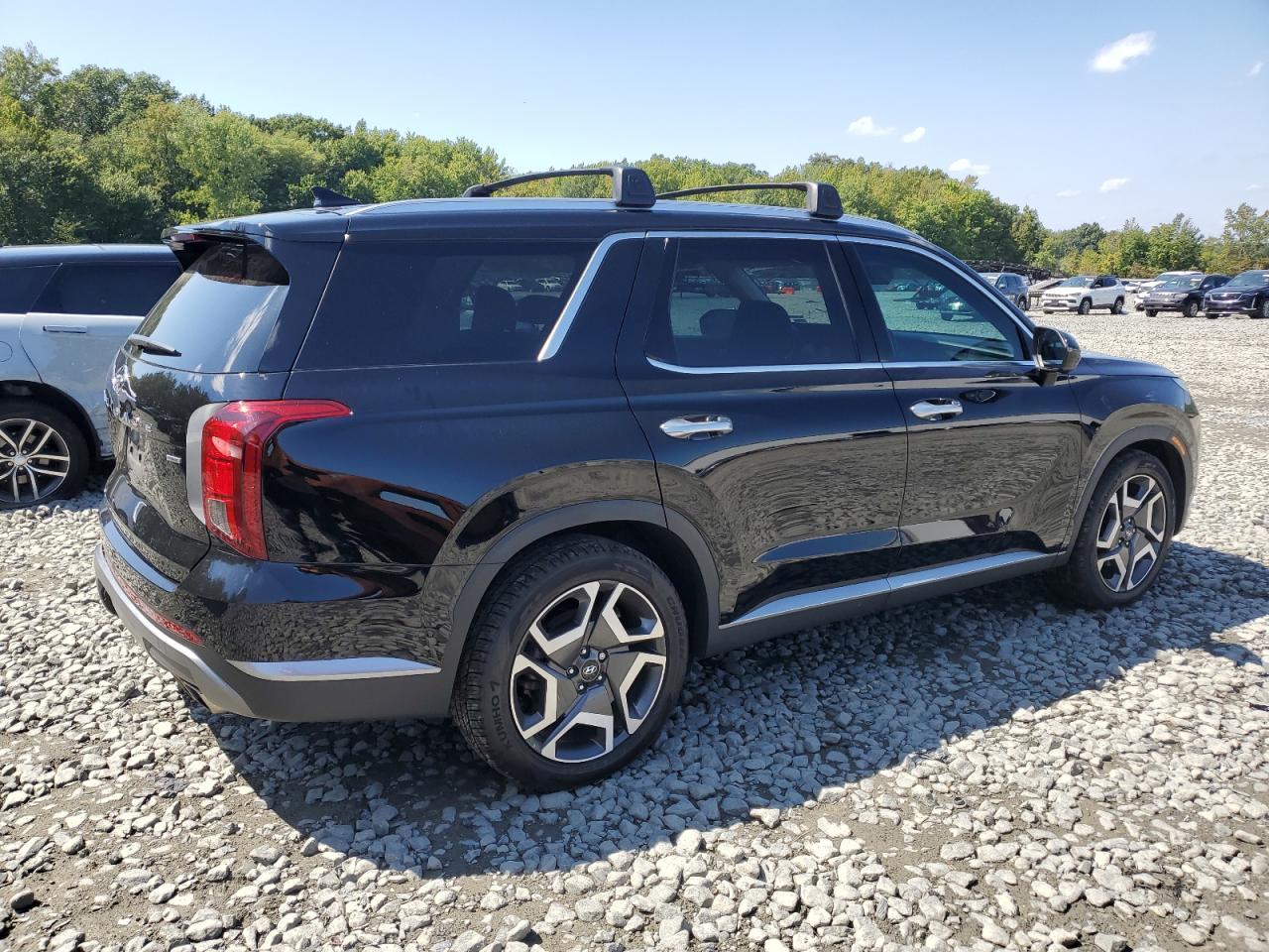 2023 Hyundai Palisade Sel Premium - Фото 3