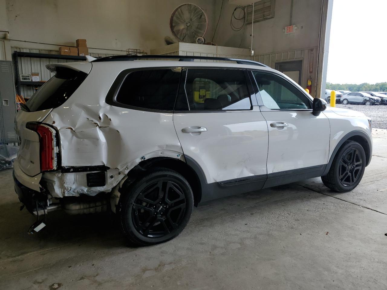 2024 Kia Telluride Sx - Фото 3