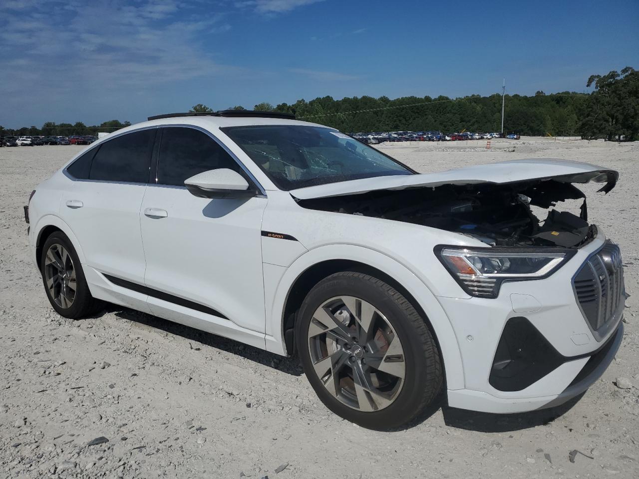 2021 Audi E-Tron Sportback Premium Plus - Фото 4
