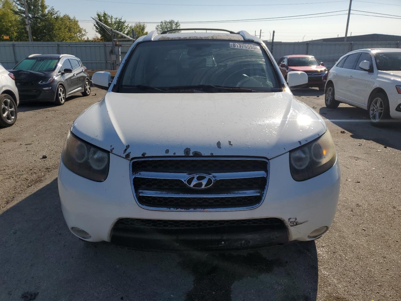 2007 Hyundai Santa Fe Se - Фото 5