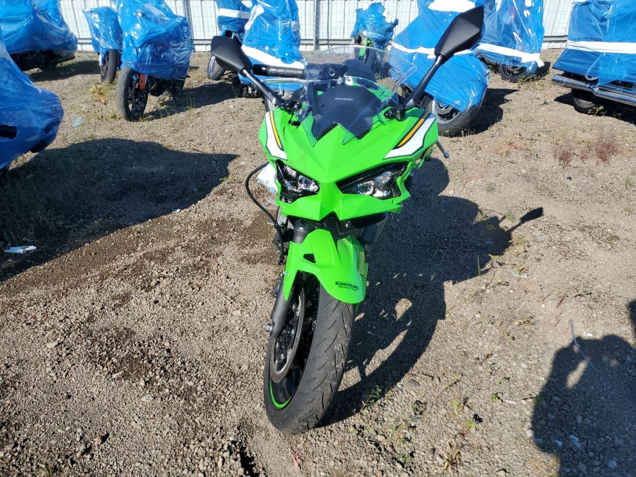 2025 Kawasaki Ex500 H - Фото 2