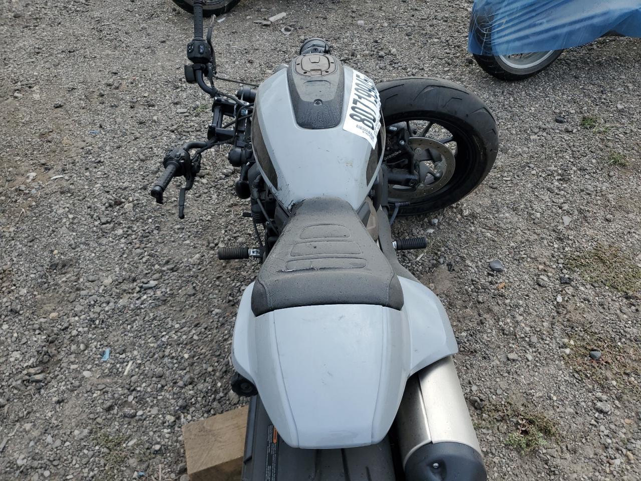 2024 Harley-Davidson Rh1250 S - Фото 6