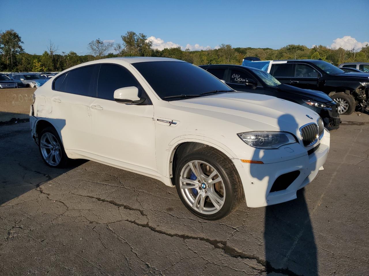 2014 BMW X6 M - Фото 4