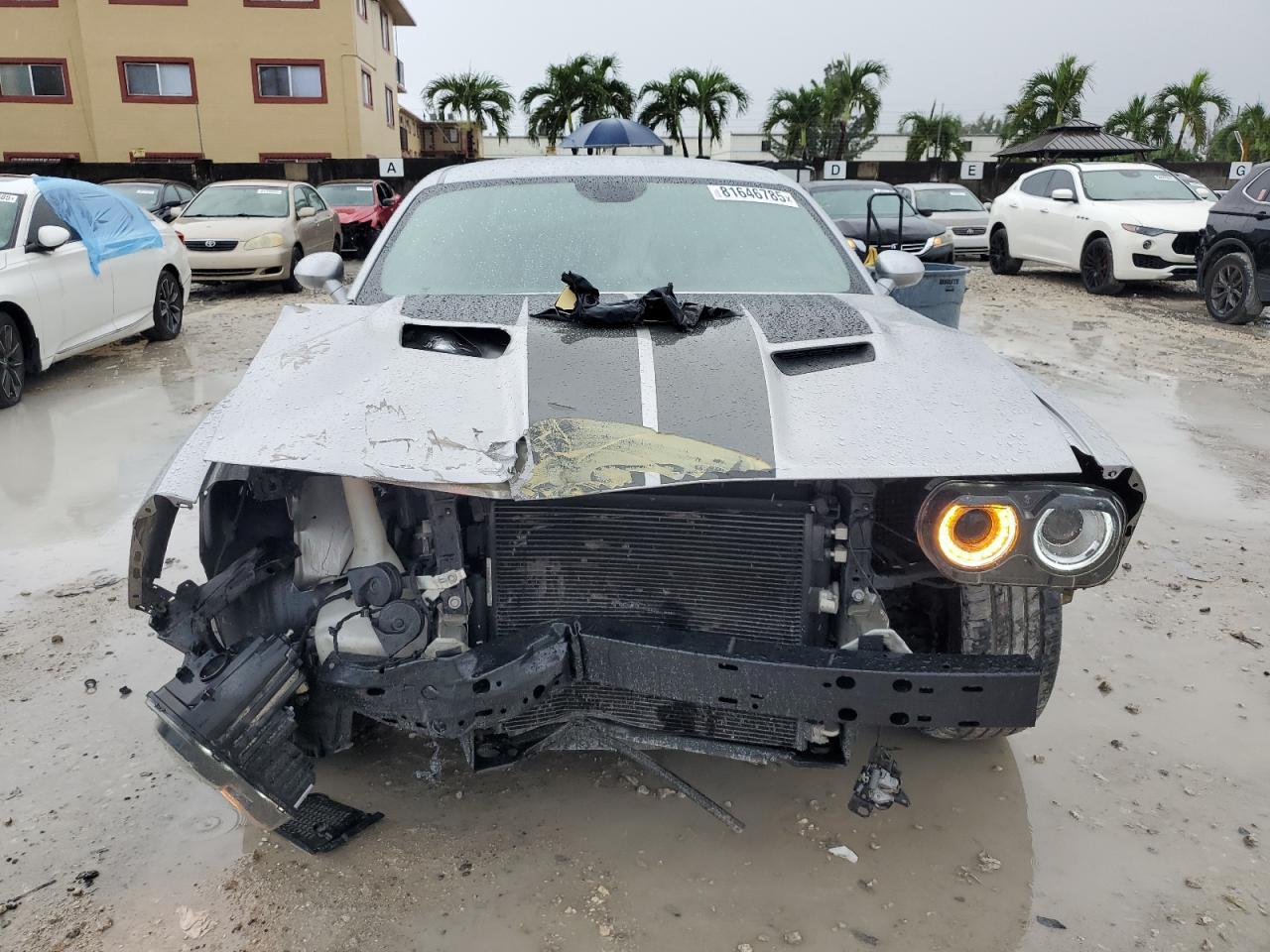 2019 Dodge Challenger Sxt - Фото 5