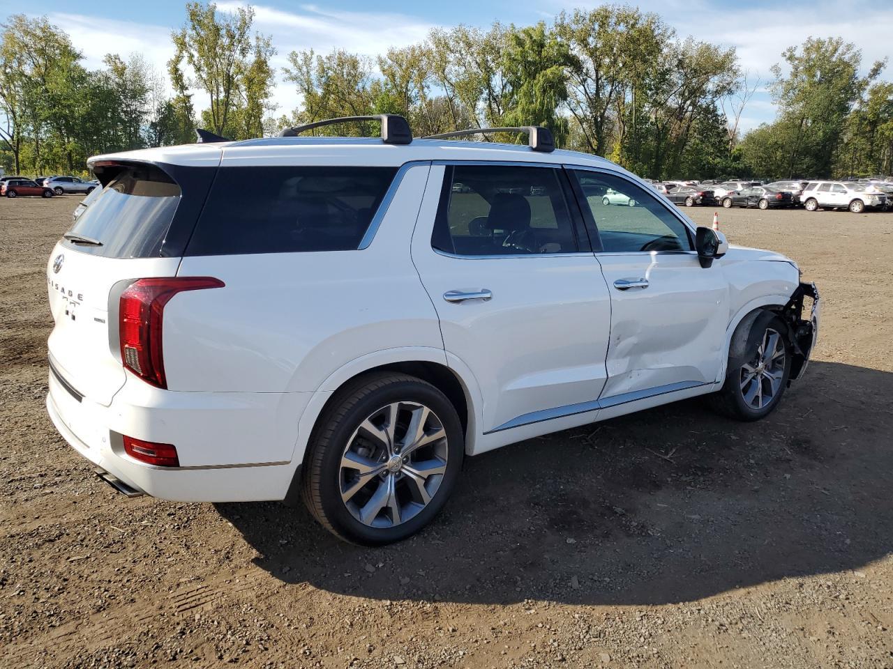 2021 Hyundai Palisade Limited - Image 3