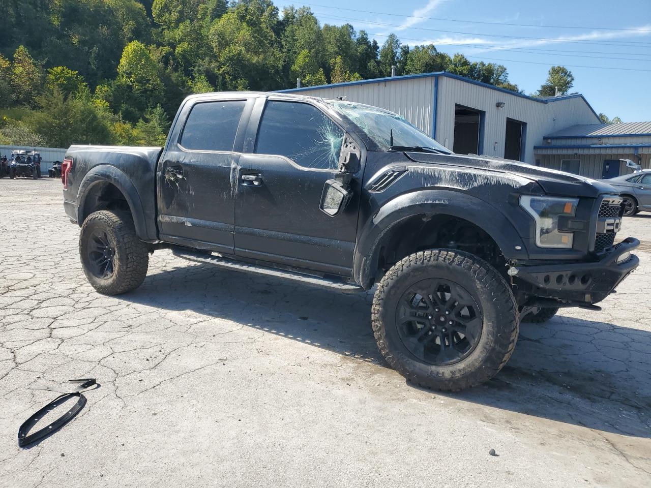 2020 Ford F150 Raptor - Фото 4