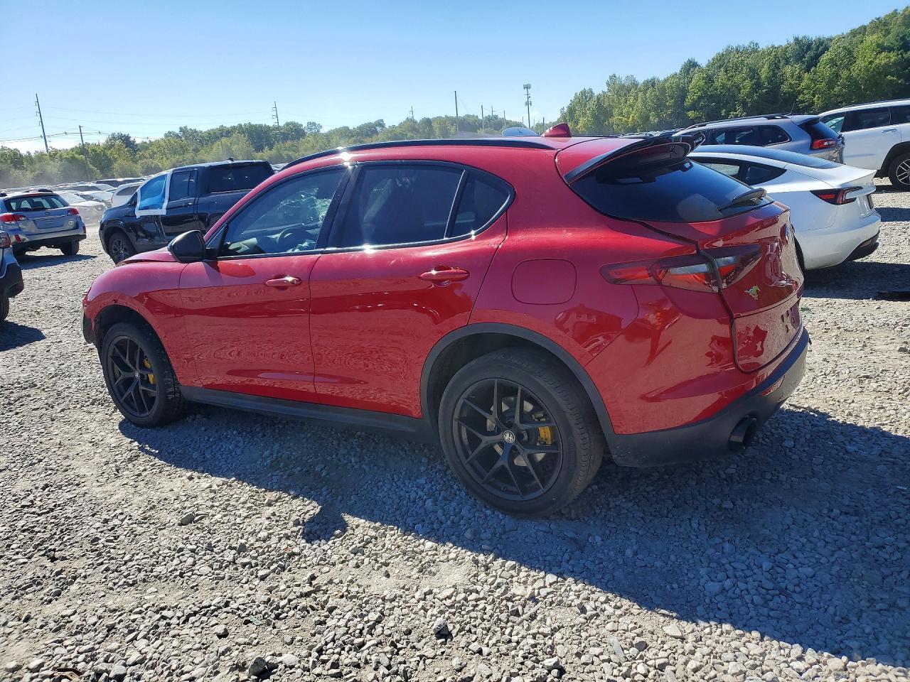2020 Alfa Romeo Stelvio - Image 2