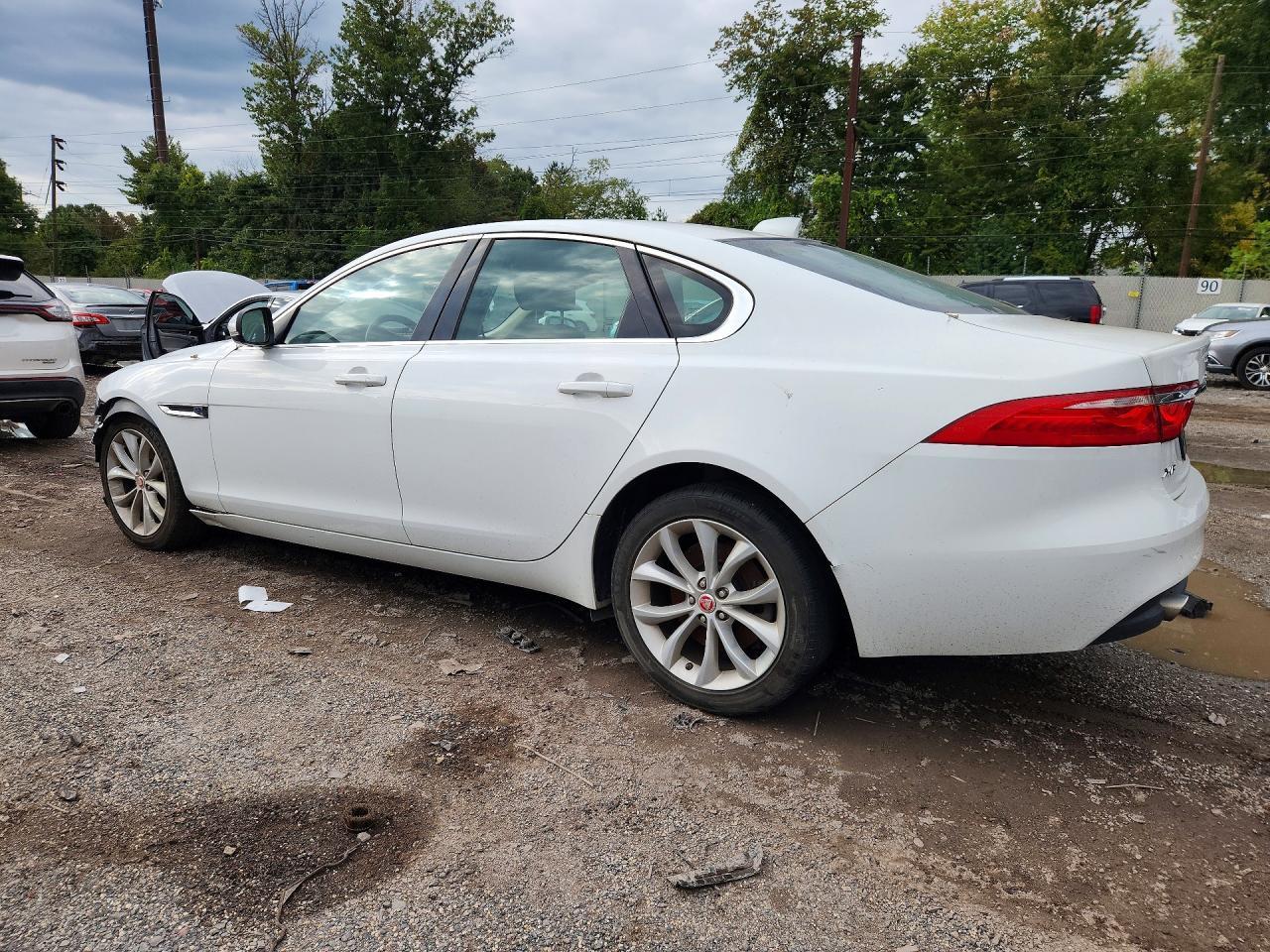 2019 Jaguar Xf Premium - Фото 2