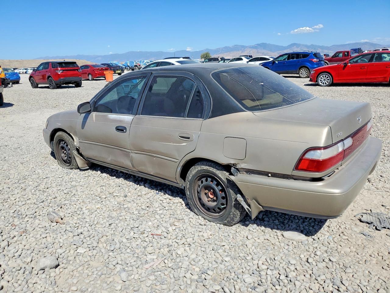 1996 Toyota Corolla - Фото 2