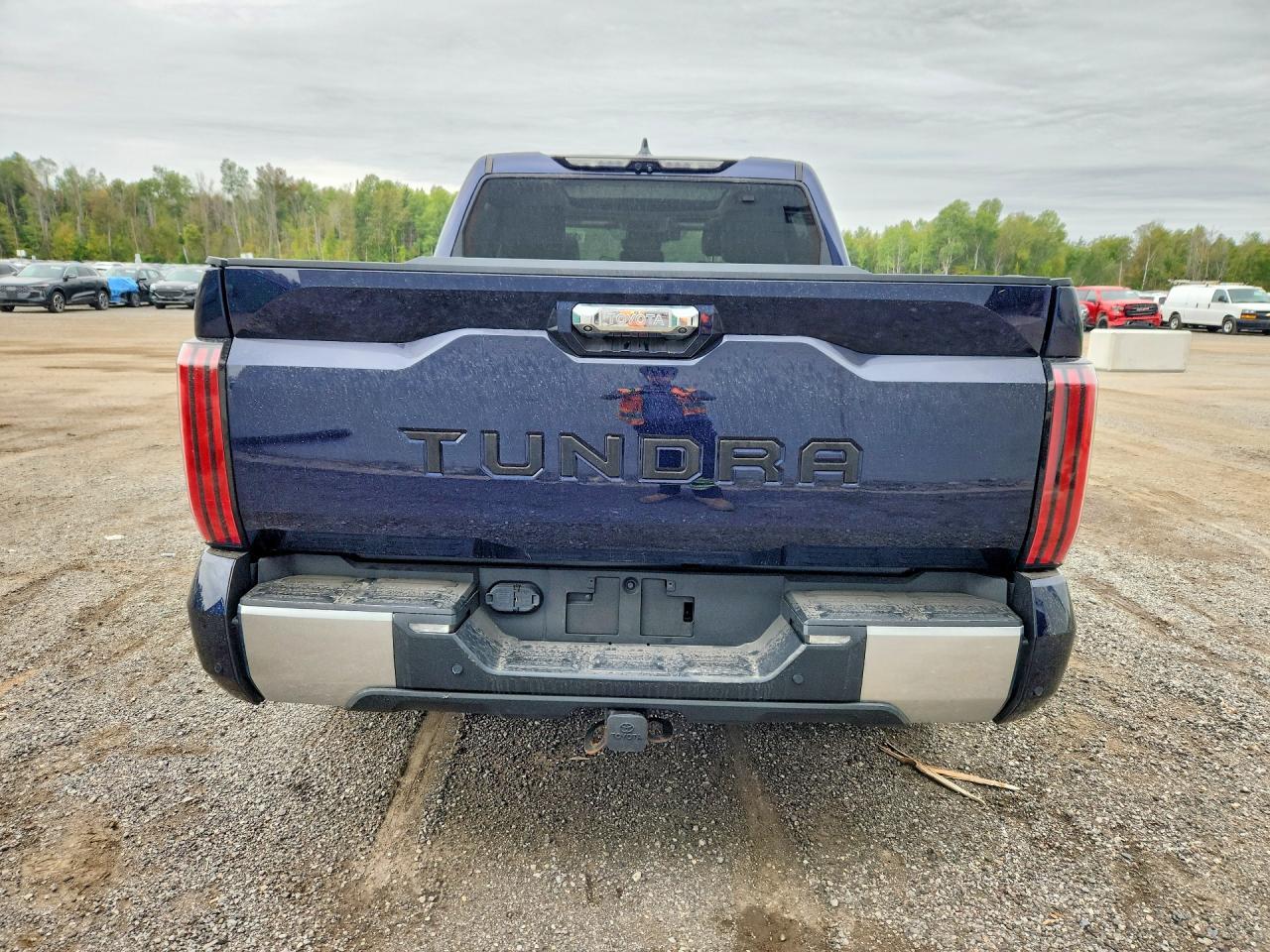 2022 Toyota Tundra Crewmax Limited - Фото 6