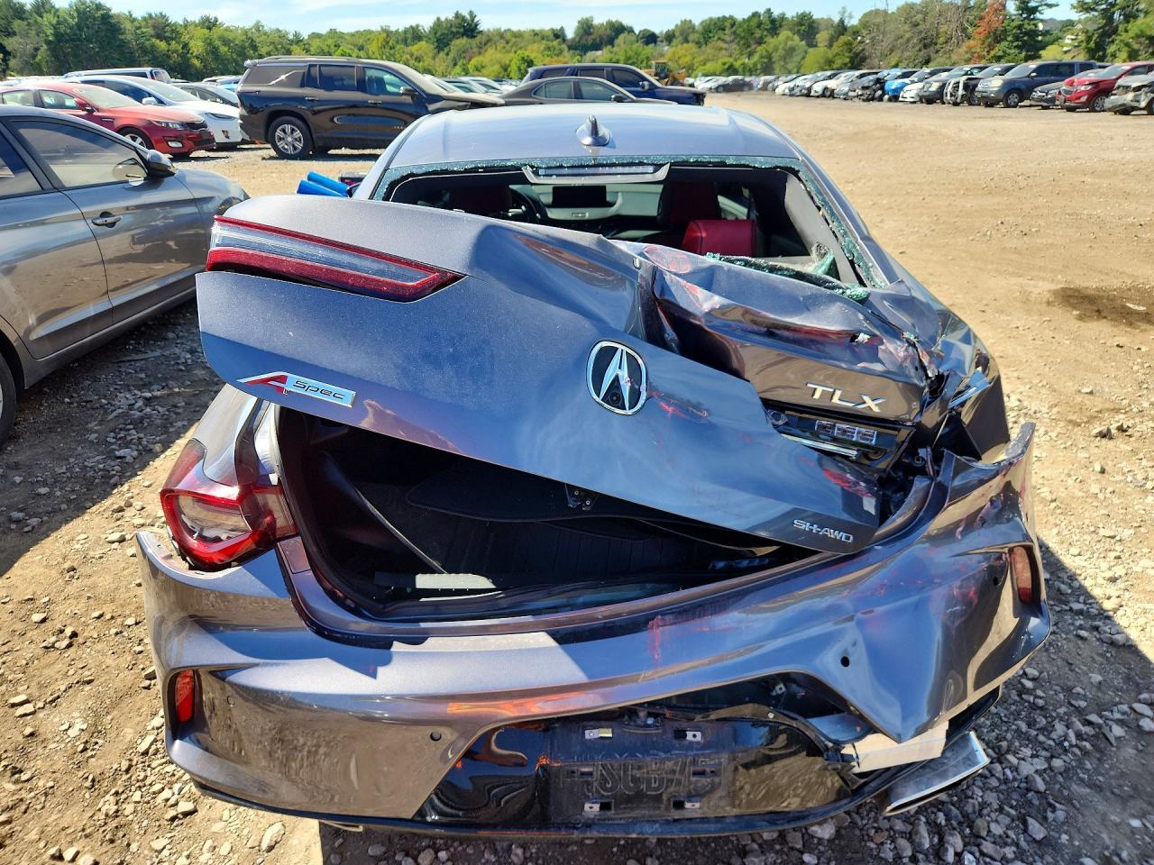 2023 Acura Tlx A-Spec - Фото 6