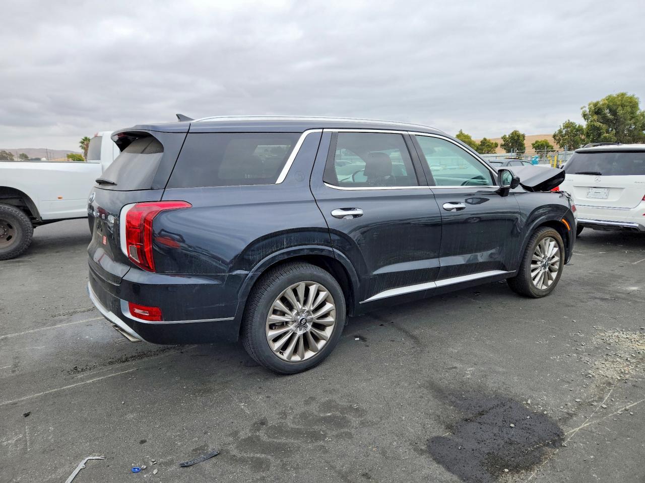 2020 Hyundai Palisade Limited - Image 3