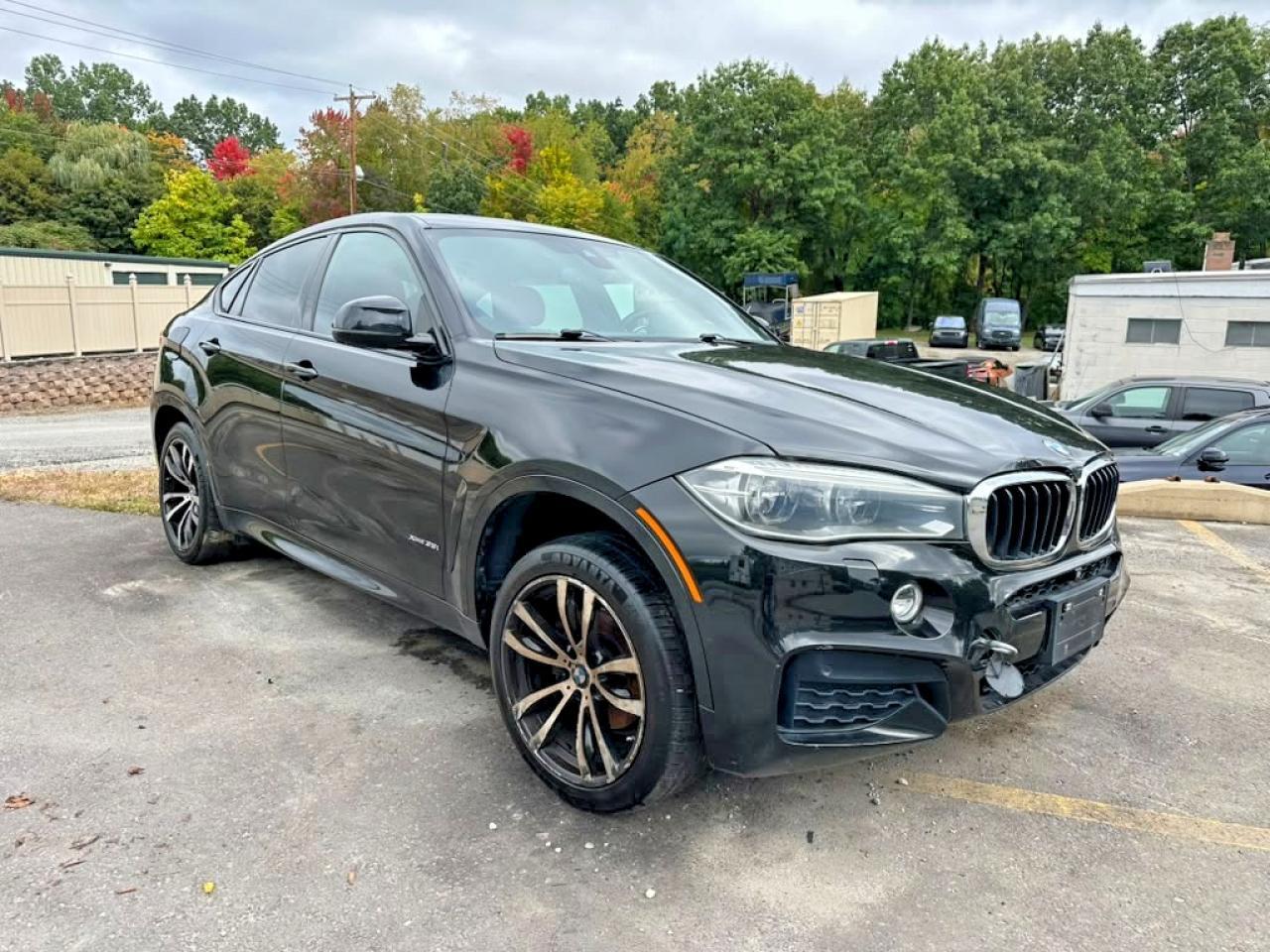 2016 BMW X6 xDrive35I - Image 4