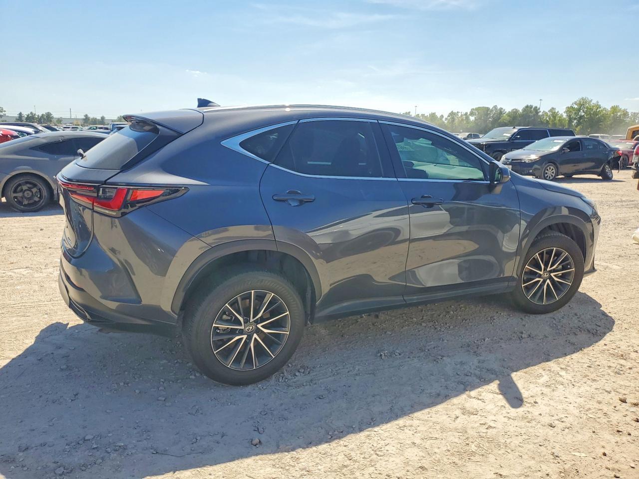2024 Lexus Nx 250 Premium - Фото 3