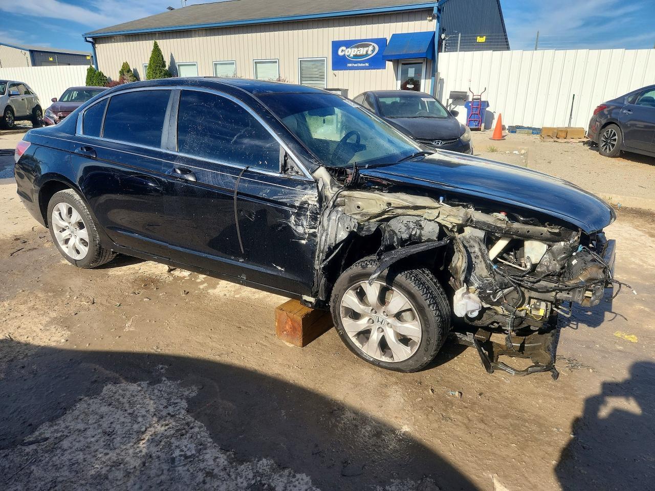 2009 Honda Accord Exl - Фото 4
