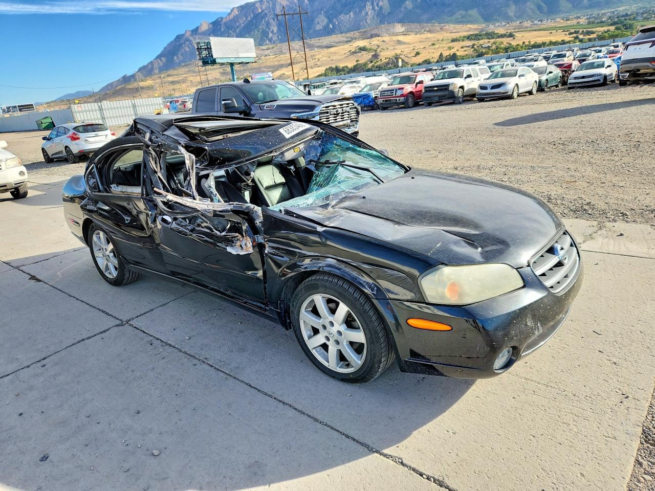 2003 Nissan Maxima Gxe - Фото 4