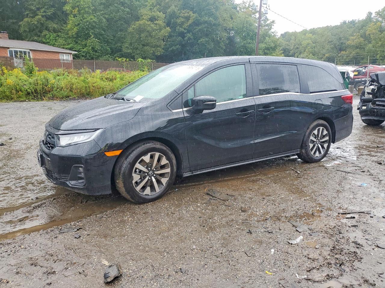 2026 Honda Odyssey Exl