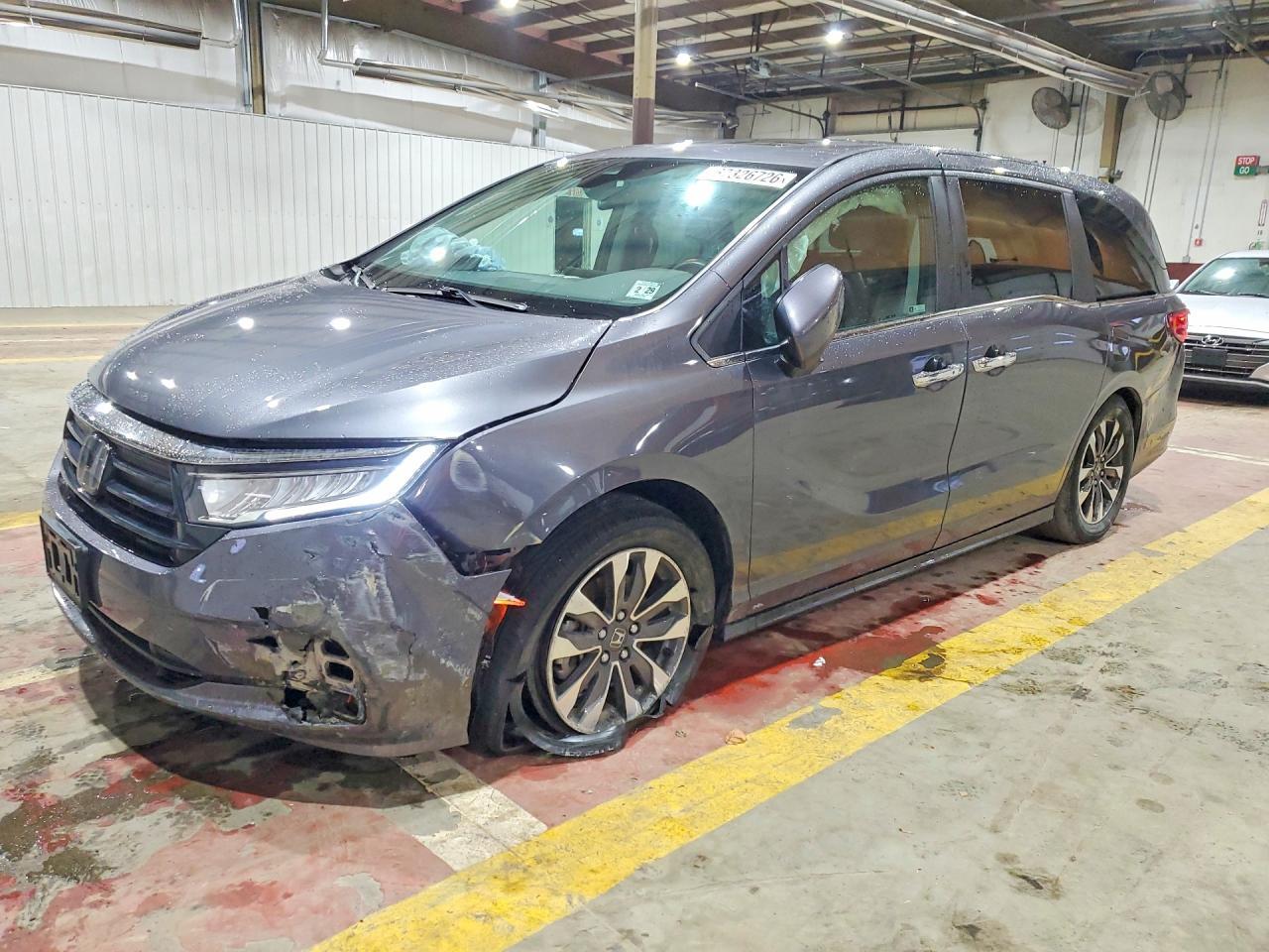 2024 Honda Odyssey Exl