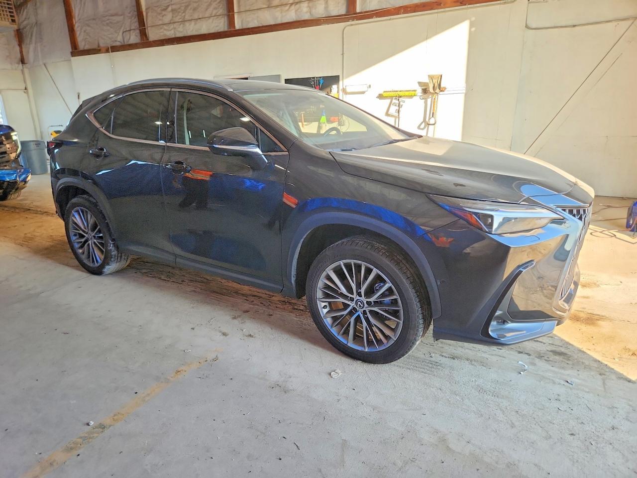 2024 Lexus Nx 350H Luxury - Фото 4