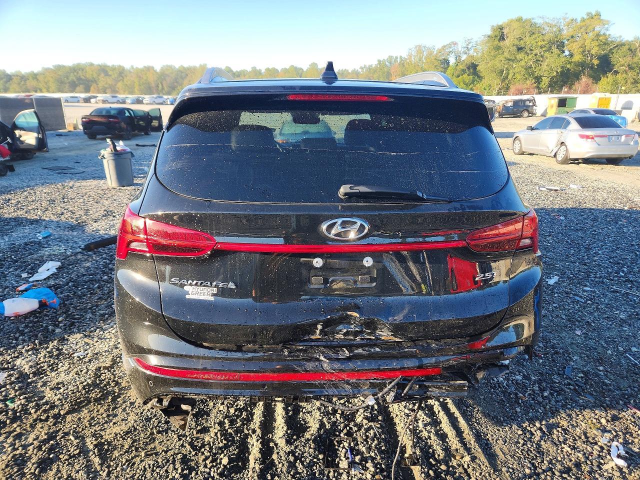 2023 Hyundai Santa Fe Calligraphy - Фото 6