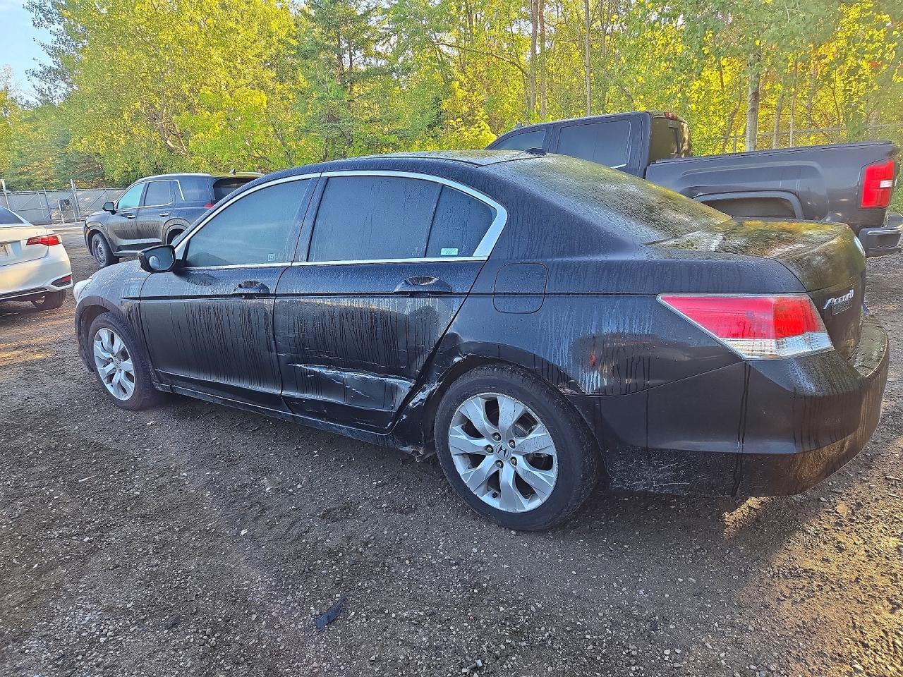 2010 Honda Accord Exl - Фото 2