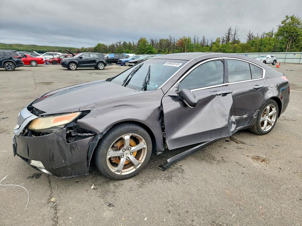 2010 Acura Tl