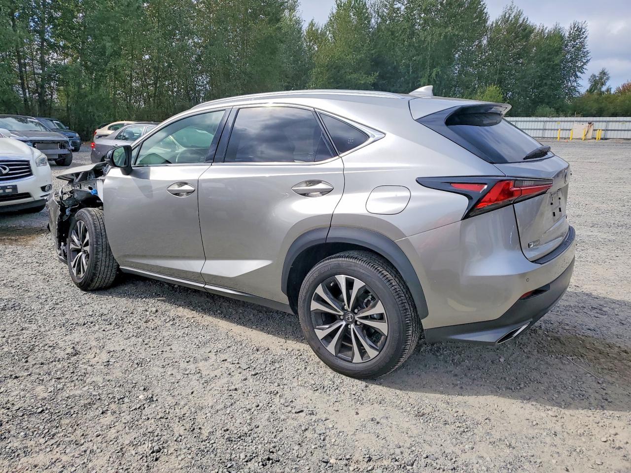 2019 Lexus Nx 300 F Sport - Фото 2