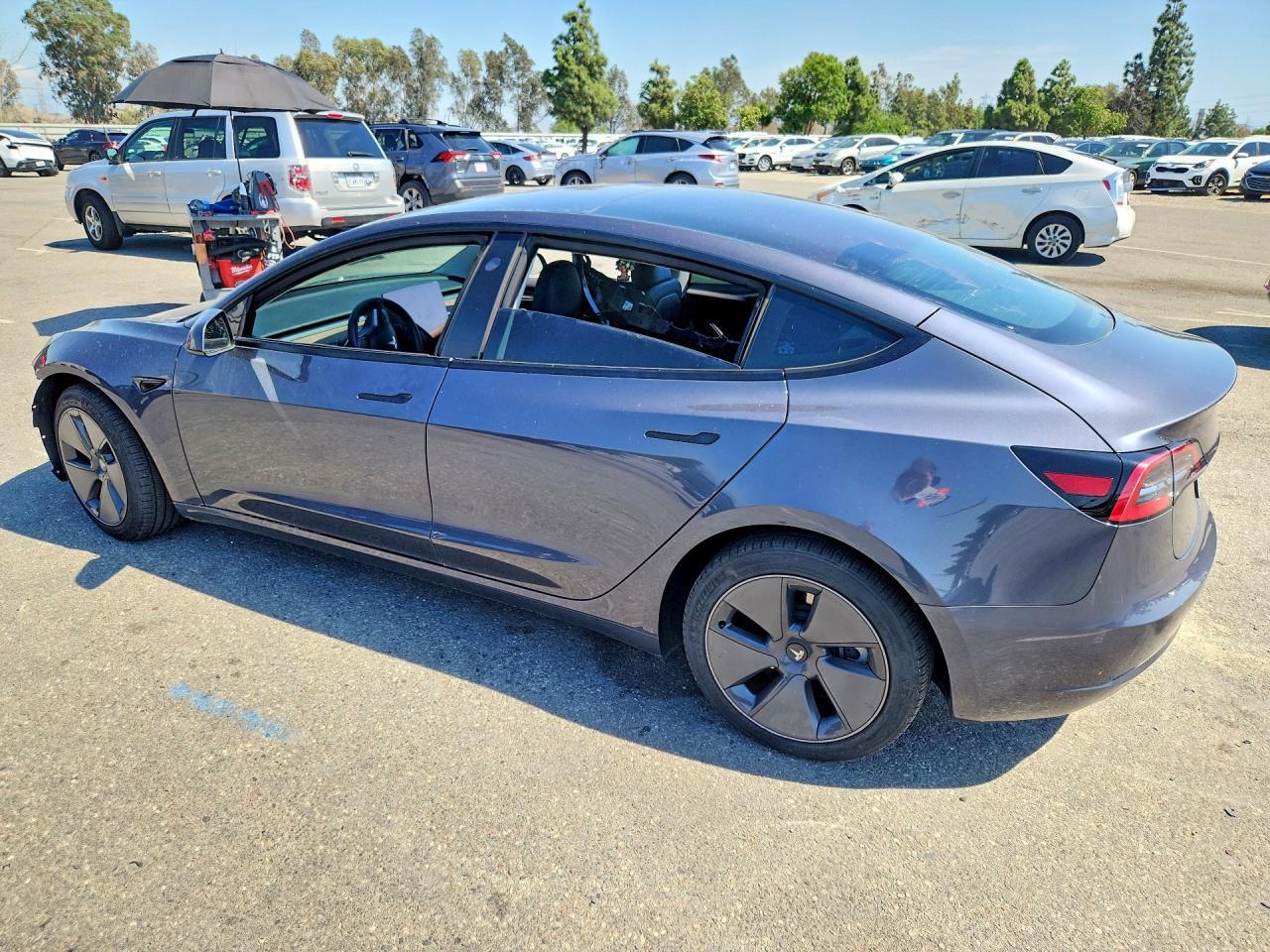 2023 Tesla Model 3 - Фото 2