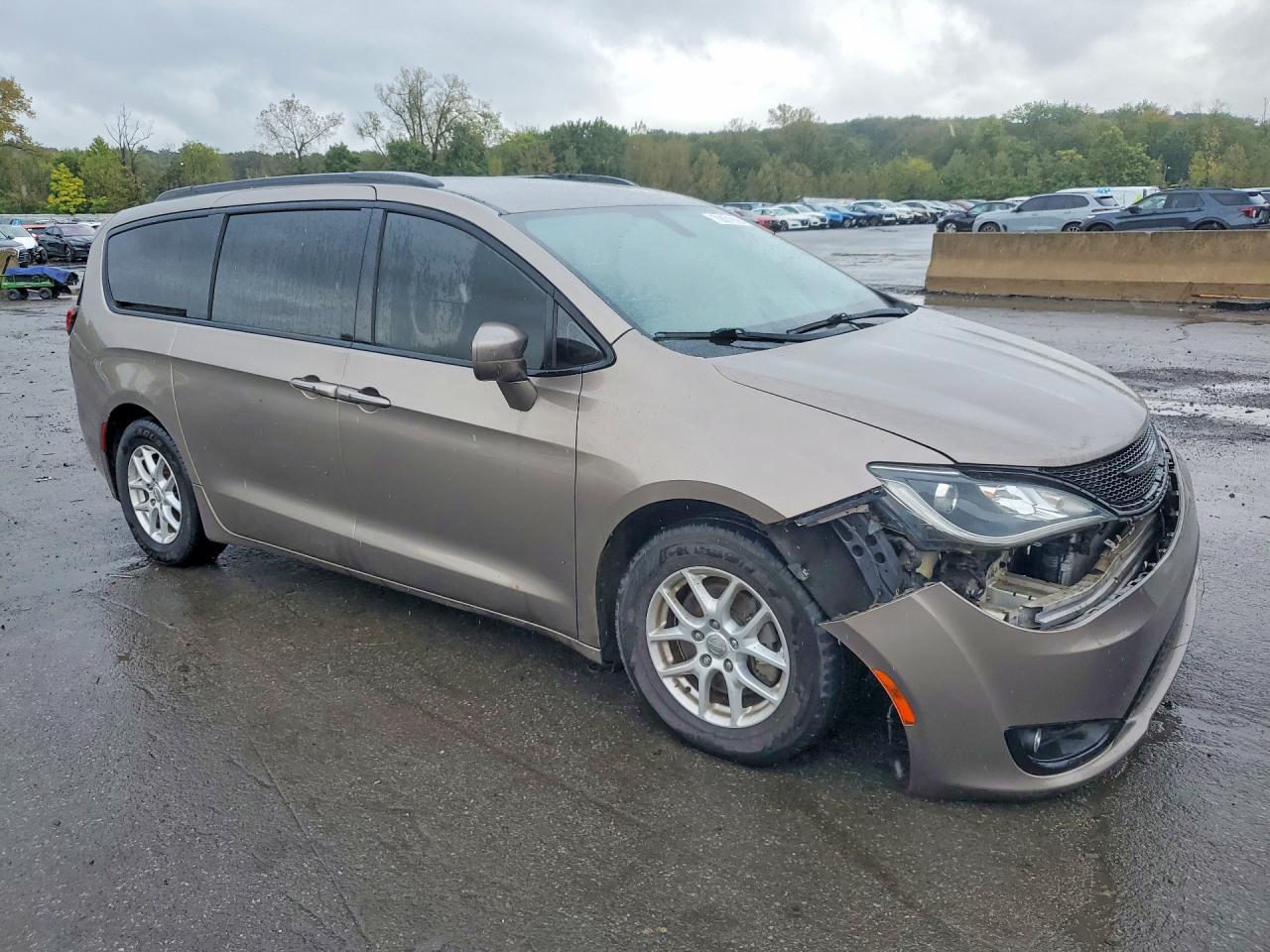2018 Chrysler Pacifica Touring Plus - Фото 4