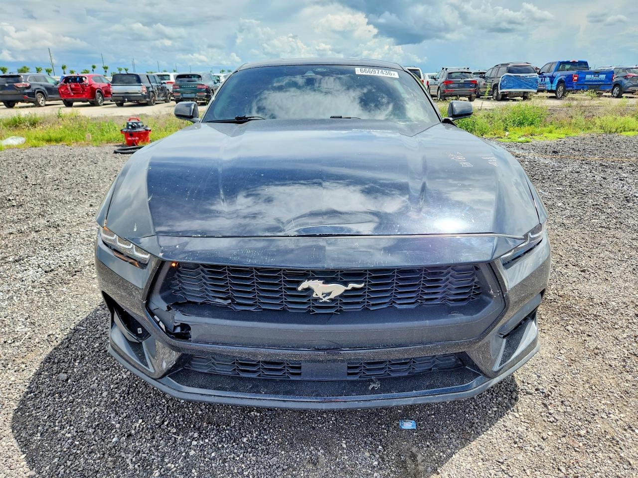 2024 Ford Mustang - Image 5