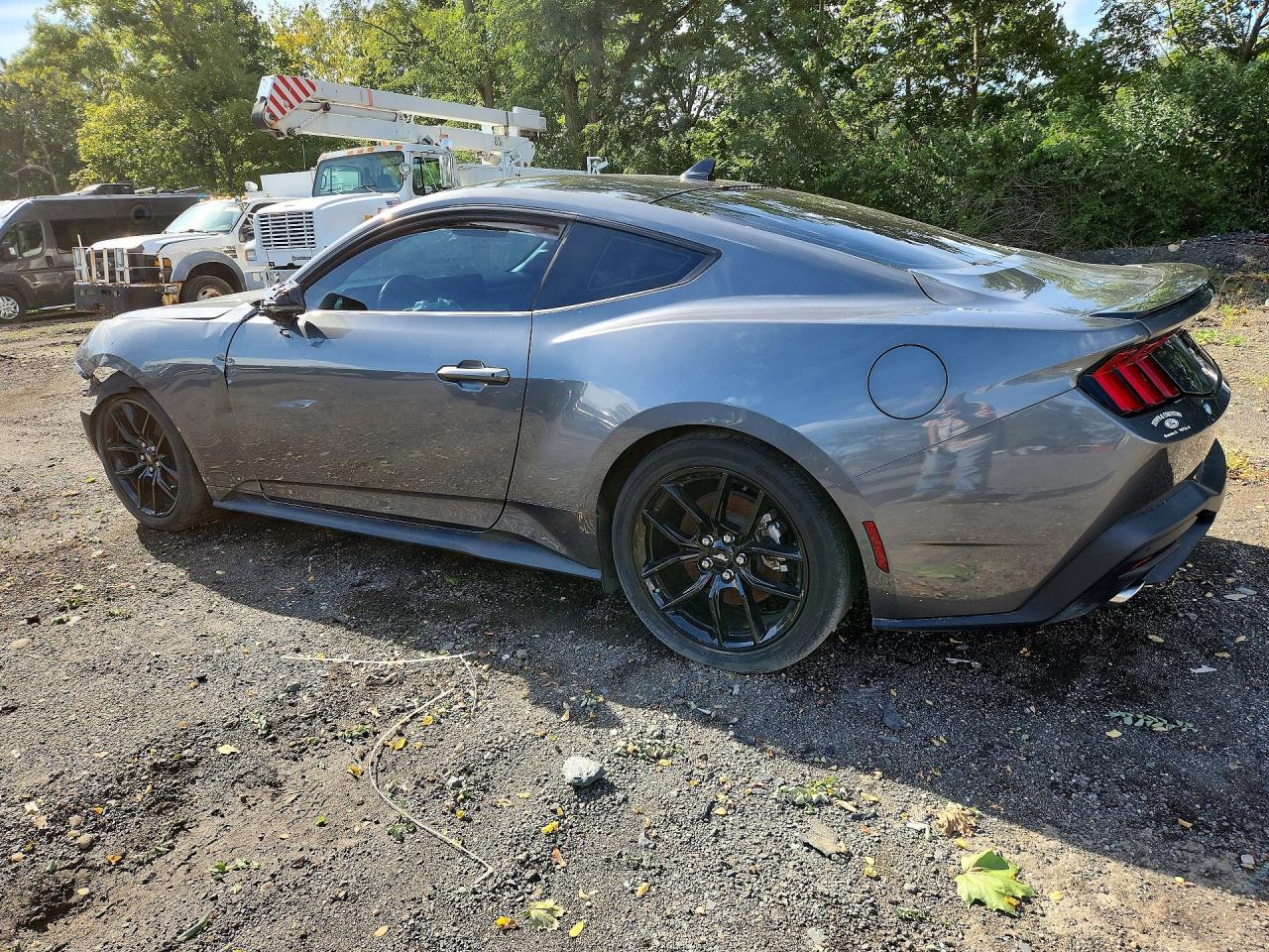2024 Ford Mustang - Фото 2