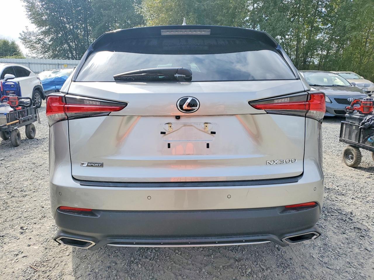 2019 Lexus Nx 300 F Sport - Фото 6